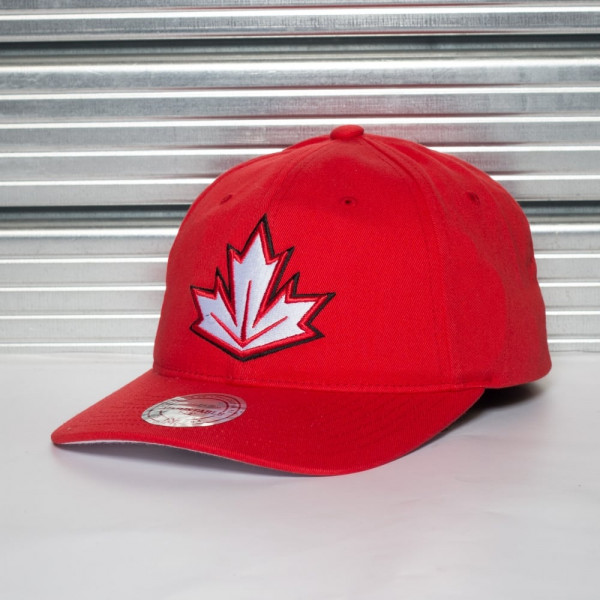 Кепка MITCHELL&NESS WCH TEAM SLOUCH